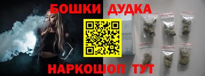 гашик Моздок