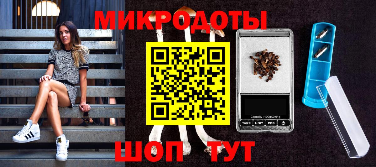 Галлюциногенные грибы мухоморы Сланцы